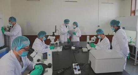 我市打造&ldquo;四種模式&rdquo; 讓農業社會化服務為鄉村振興&ldquo;賦能&rdquo;